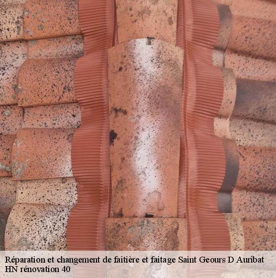 reparation-et-changement-de-faitiere-et-faitage