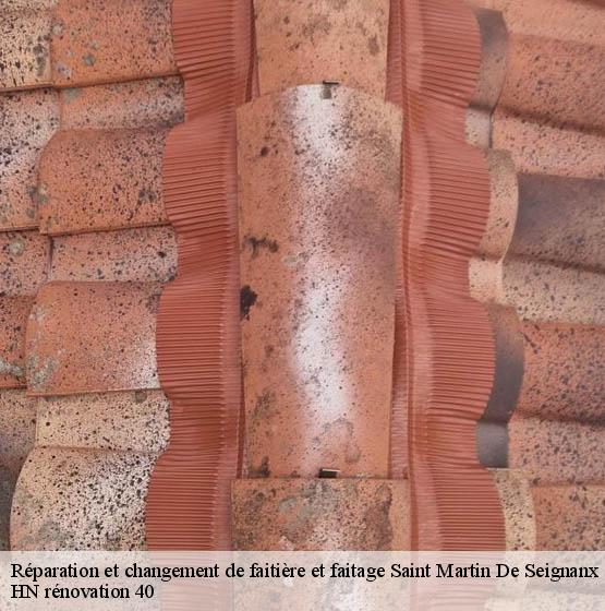 reparation-et-changement-de-faitiere-et-faitage