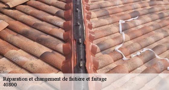 reparation-et-changement-de-faitiere-et-faitage