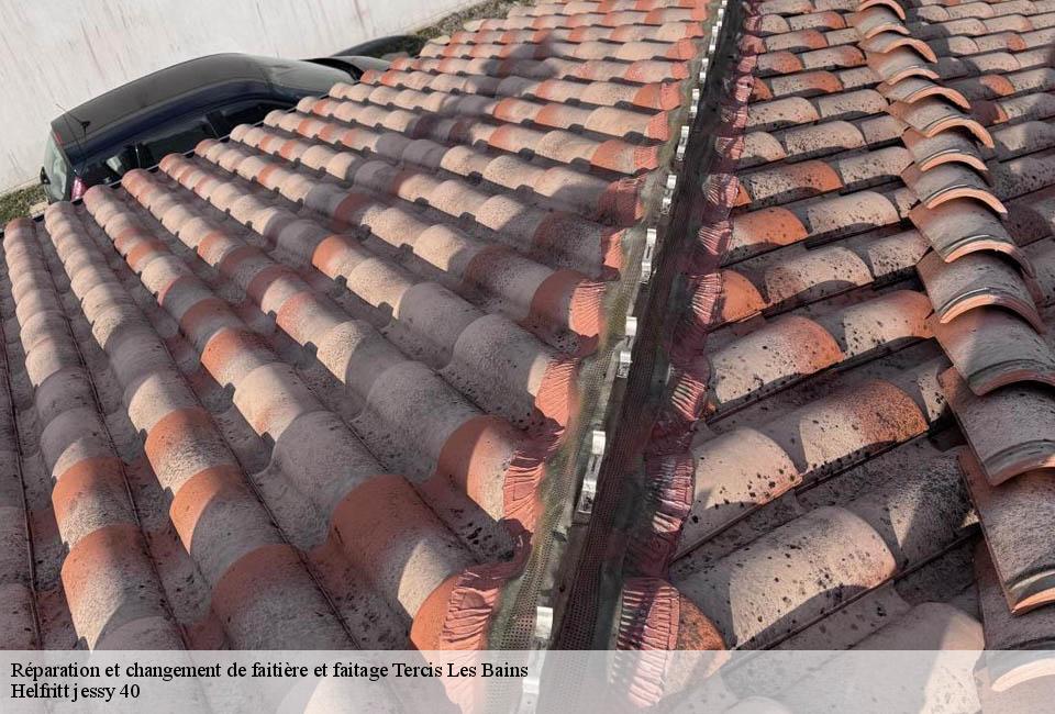 reparation-et-changement-de-faitiere-et-faitage