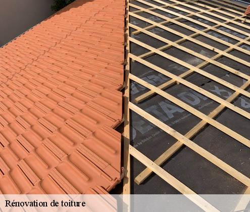 renovation-de-toiture