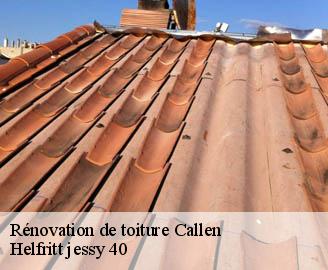 renovation-de-toiture