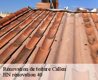 renovation-de-toiture