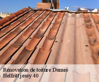 renovation-de-toiture