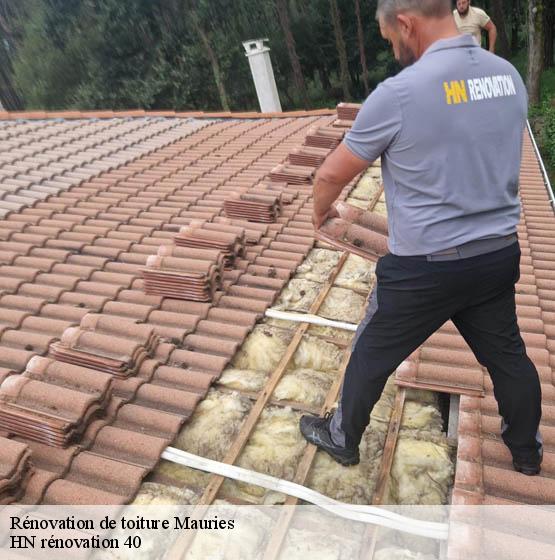 renovation-de-toiture