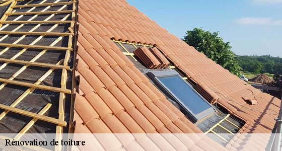 renovation-de-toiture