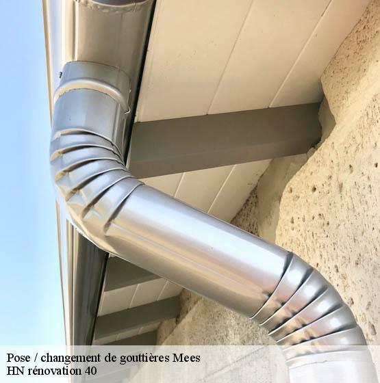 pose-changement-de-gouttieres