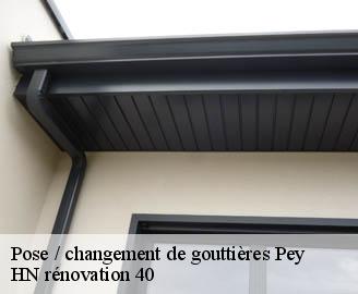 pose-changement-de-gouttieres