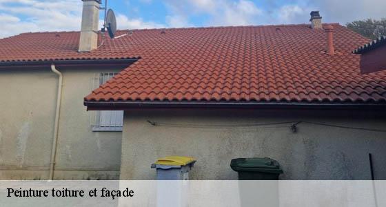 peinture-toiture-et-facade