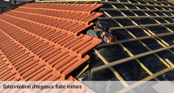 intervention-d-urgence-fuite-toiture