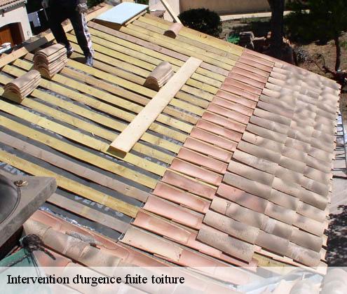 intervention-d-urgence-fuite-toiture