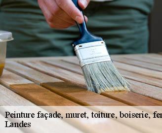 peinture-facade-muret-toiture-boiserie-ferronerie-gouttiere