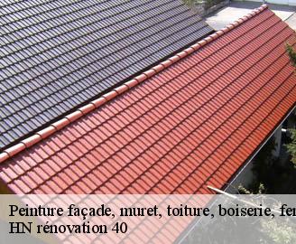 peinture-facade-muret-toiture-boiserie-ferronerie-gouttiere