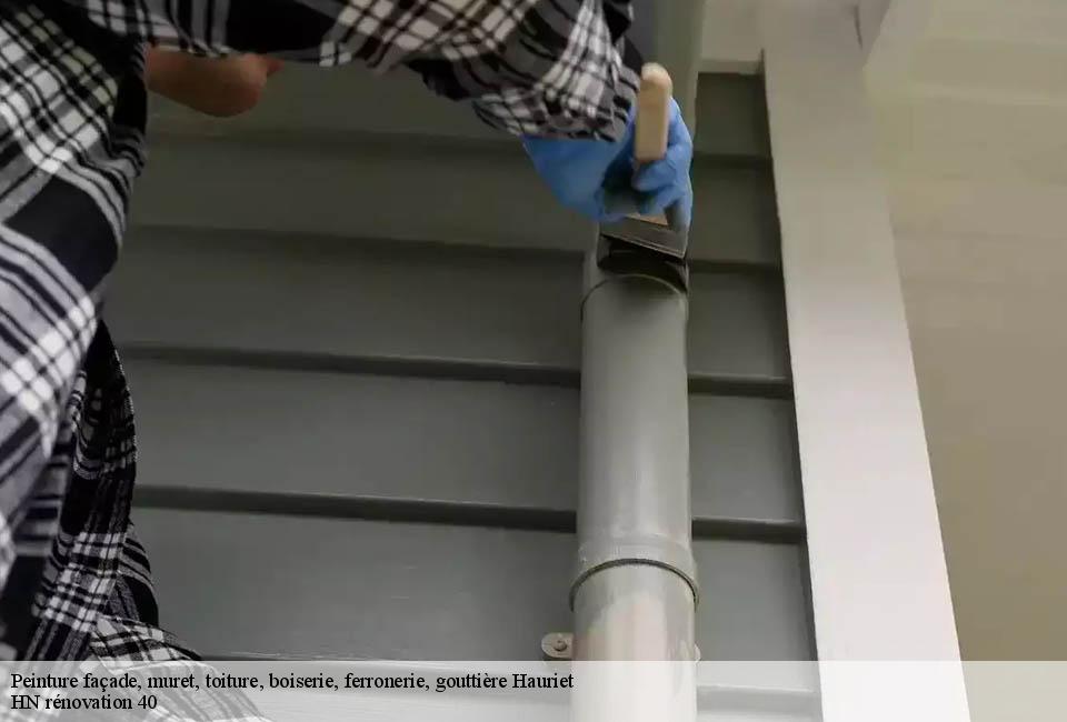 peinture-facade-muret-toiture-boiserie-ferronerie-gouttiere