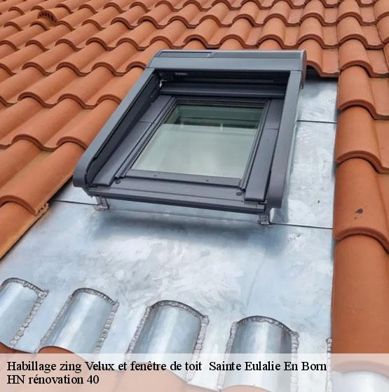 habillage-zing-velux-et-fenetre-de-toit