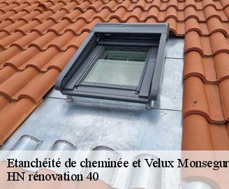 etancheite-de-cheminee-et-velux