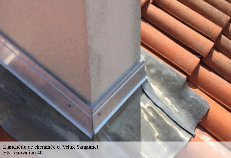 etancheite-de-cheminee-et-velux