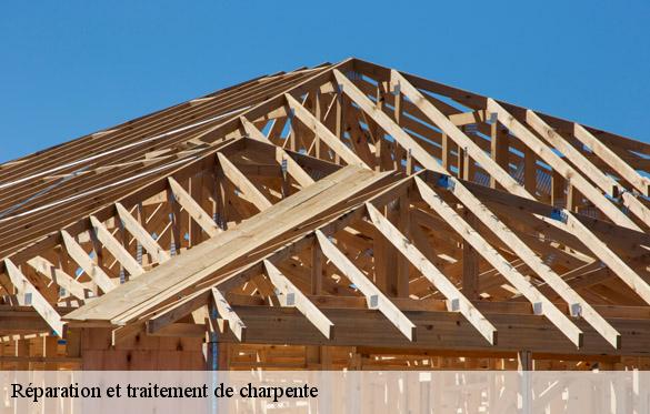 reparation-et-traitement-de-charpente