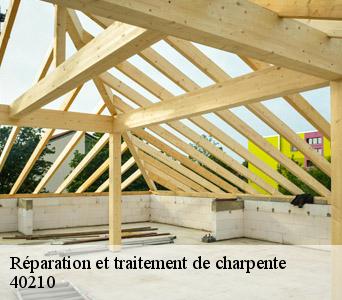 reparation-et-traitement-de-charpente